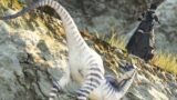 FFXIV – Greetings from Invincible Stuck Grass Raptor