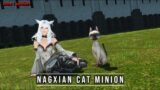 FFXIV: Nagxian Cat Minion – (First Zone Spoilers)