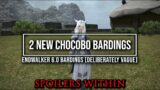 FFXIV: New Endwalker 6.0 Bardings (SPOILERS)
