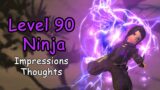 Level 90 Ninja | First Impressions And Thoughts – FFXIV Endwalker
