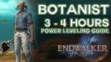 Leveling Botanist from 80 to 90 in 3 – 4 hours – FFXIV Endwalker