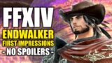 My Thoughts on FFXIV Endwalker so Far | FFXIV Endwalker First Impressions (No Spoilers)