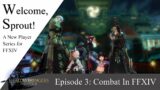 Welcome Sprout: A Beginner's Guide to FFXIV Combat