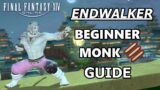 Beginner Endwalker Monk Guide – Final Fantasy 14