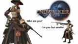 FFXIV – Endwalker – Downscaling Before and After