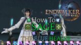 FFXIV Endwalker: Level 90 Sage Guide Opener, Rotation, Stat Priority & Playstyle (How To Series)