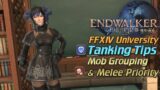 FFXIV Endwalker: Tanking Lesson 1 Mob Grouping & Melee Priority (FFXIV University)