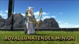 FFXIV: Royal Lunatender Minion – 6.05
