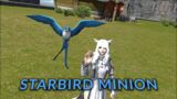 FFXIV: Starbird Minion