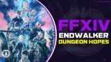 Final Fantasy 14 | Dungeon Hopes