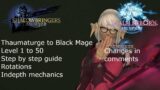 Final Fantasy 14 Thaumaturge to Black Mage guide: Level 1 – 50 in detail