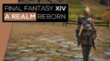 Final Fantasy XIV  A Realm Reborn – Free Roam – [1440p 60FPS]