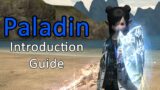 Introduction Guide To Paladin – FFXIV Endwalker