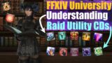 Understanding FFXIVs Raid Utility & How To Use Them (FFXIV University)