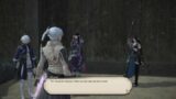 FINAL FANTASY XIV A job in final fantasy 14 part 543