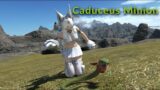 FFXIV: Caduceus Minion!