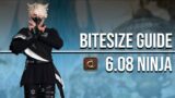 FFXIV Endwalker 6.08 Ninja | Bitesize Guide