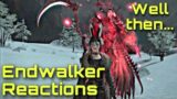 FFXIV Endwalker – BLINDING RAGE