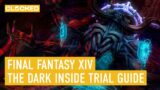 FFXIV Endwalker: How to Beat The Dark Inside Trial | Sage Gameplay