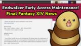 FFXIV News | 24 Hour  Endwalker Early Access Maintenance