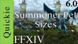 FFXIV Summoner Pet Sizes 6.0