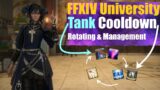 FFXIV Tank Cooldown Compendium, Mitigation Management, Rotating & More (FFXIV University)