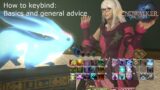 Final Fantasy 14 Basics Guide: Practical tutorial on binding Action bars – Summoner, Reaper, Sage