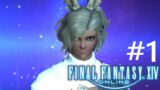 Final Fantasy 14 (FFXIV) Let's Play – A New Beginning – Episode 1