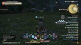 FINAL FANTASY XIV A job in final fantasy 14 Season 1 part 942