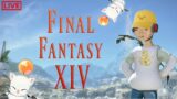 Final Fantasy 14 I Lost My Shirt Sorry Not Sorry!!