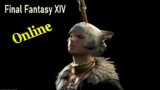 Final Fantasy XIV Online Heavensward Play Through # 14