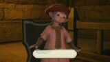 Final Fantasy XIV(14): Episode 7, first trial "Ifrit" and finally getting my Chocobo