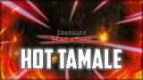 HOT TAMALE and Getting Yelled at by My DPS! HALATALI – FINAL FANTASY XIV