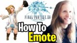 How to EMOTE in FINAL FANTASY 14 (FFXIV)