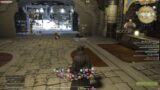 Final fantasy 14 Online – Daily leveling, any class, daily :] and Other final fantasy games too!!