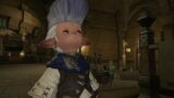 Final Fantasy 14 MSQ in First Person