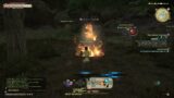 Final Fantasy 14 Part 7 Hunting Log and Western Thanalan MSQ