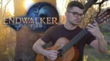Final Fantasy XIV: Endwalker Guitar Collection | John Oeth