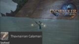 Final Fantasy XIV – Thavnarian Calamari Fishing Spot