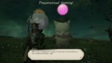 Pneumatised Gaming! Final Fantasy XIV. Heavensward. Miqo'te Bard & Dancer. (20220407 01)