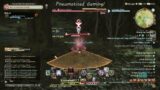 Pneumatised Gaming! Final Fantasy XIV. Leveling up Rogue. Miqo'te Dancer. (20220407 084522)