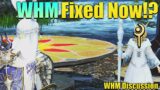 White Mage Fixed Now? | FFXIV White Mage 6.1