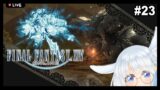 🔴【Final Fantasy 14】Its Been A Long Journey Way Back Home #23