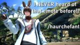 28 Emotes You Might've Missed in FFXIV!