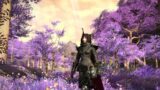 Final Fantasy XIV – Début de Shadowbringers