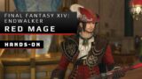 Final Fantasy XIV: Endwalker Hands-On with Red mage