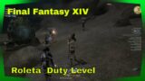 Final Fantasy Xiv Roletas  Level Up