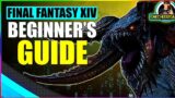 New Players Beginner's Guide 2022 in Final Fantasy 14 Online (PS4 Pro)