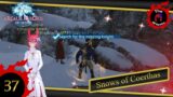 Snows of Coerthas – Final Fantasy XIV: A Realm Reborn – Episode 37