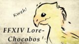FFXIV Lore- Understanding Chocobos